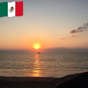 Meet your Posher, Annette